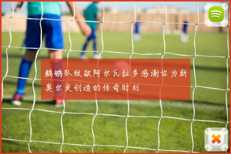 鹈鹕队致敬阿尔瓦拉多感谢你为新奥尔良创造的传奇时刻