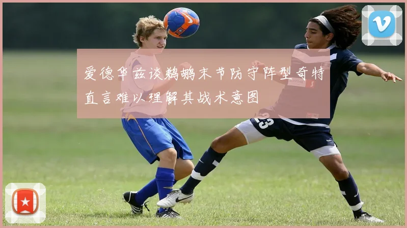 爱德华兹谈鹈鹕末节防守阵型奇特直言难以理解其战术意图
